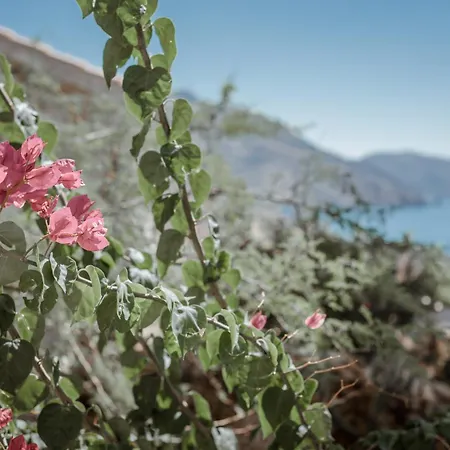 Alika Resort Ξενοδοχείο