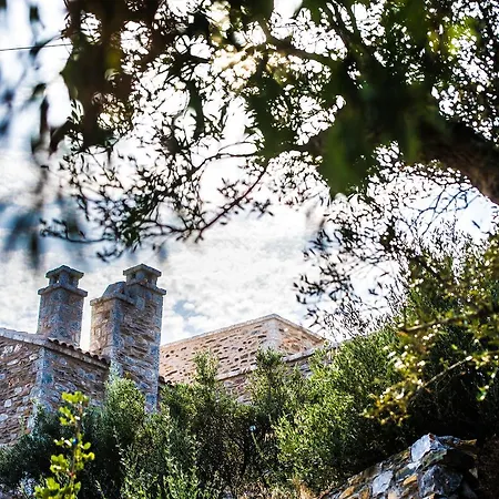 Alika Resort 4* Άλικα